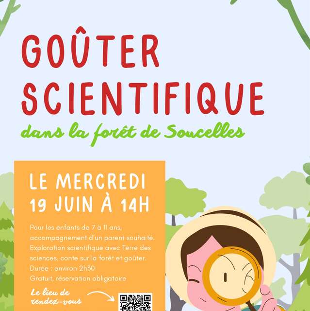 Goûter scientifique dans la forêt
