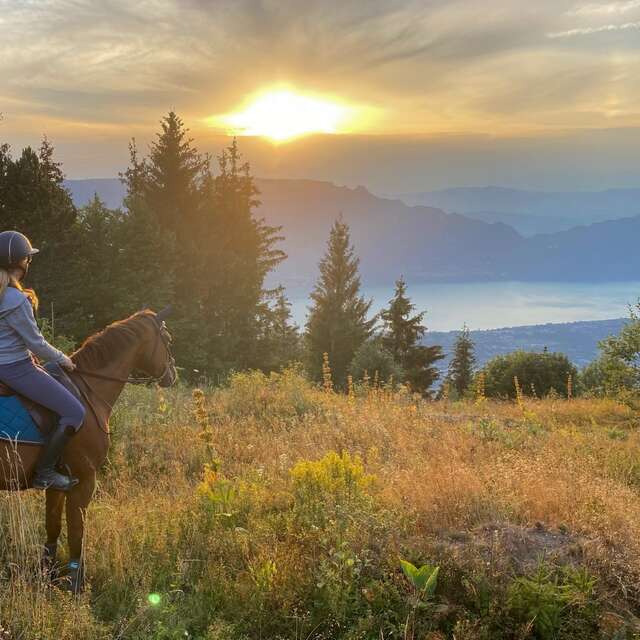 Cercle équestre Volte Face