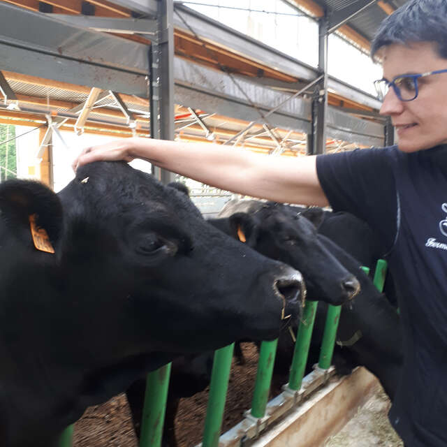 Ferme du Trèfle, les coulisses de l'innovation