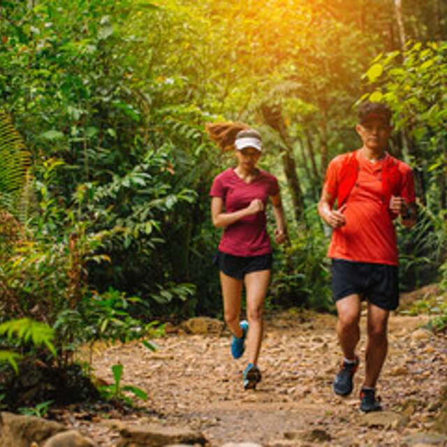 Grand Tour de Saint-Agrève - Trail N° 3