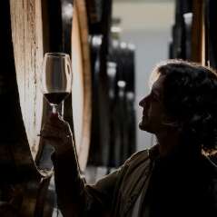 Oenologie : Vignoble de Bandol