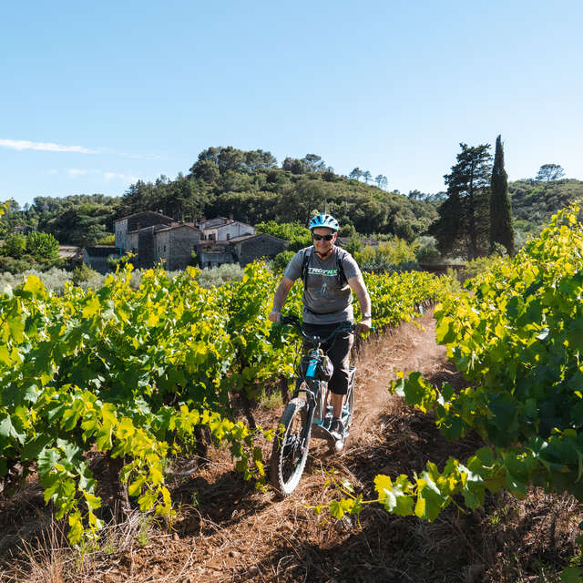 Balades en trottinette à la fête du vin nouveau