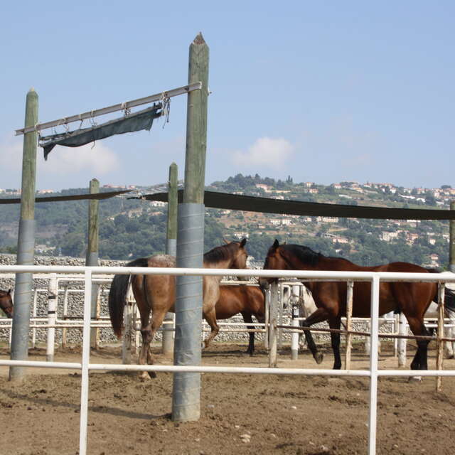 Centre équestre (A.G.A.S.C)