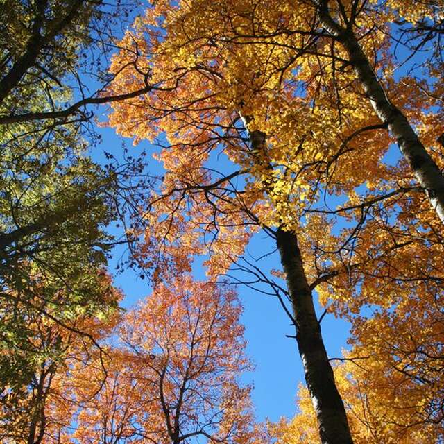 30 - Les 40 lacets - Aiguilles en VTT