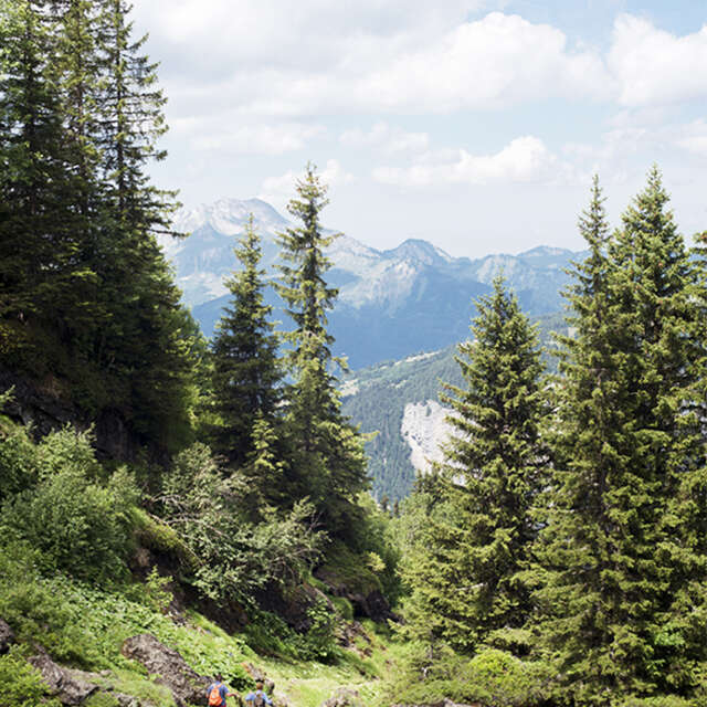 Morzinette Alpine Pasture from Avoriaz via La Chèvrerie des Ardoisières