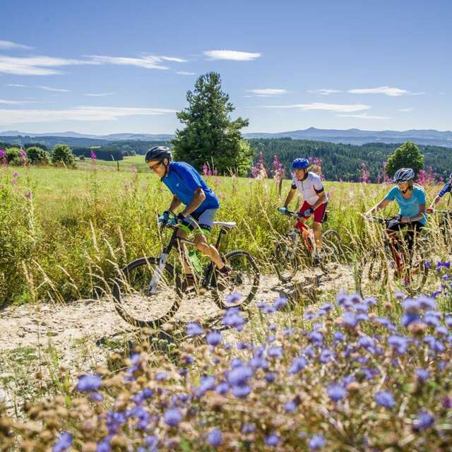 14 - Vers le Mas-de-Tence