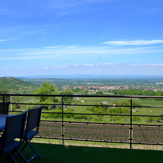 Vue sur Vignes