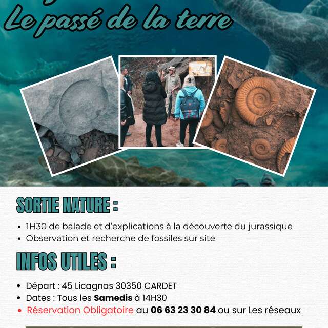 Explorez le passé de la terre : Le jurassique