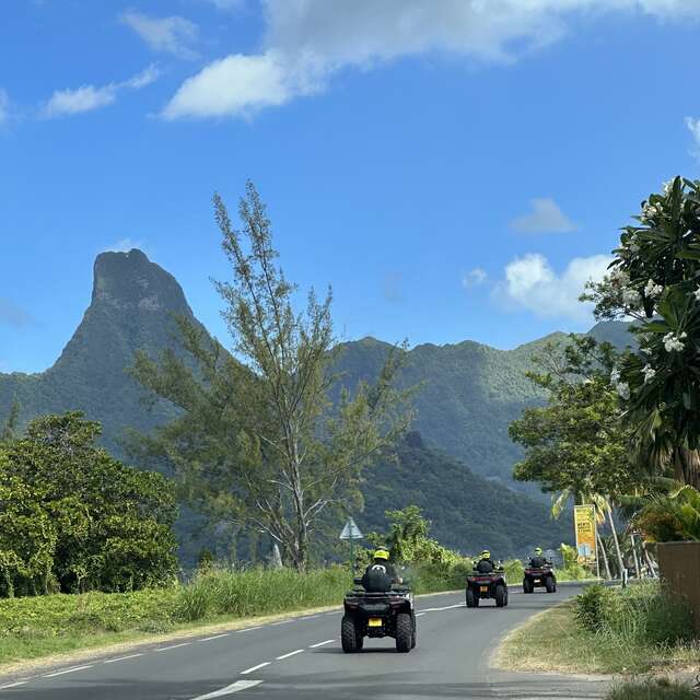 Moorea Island Tours