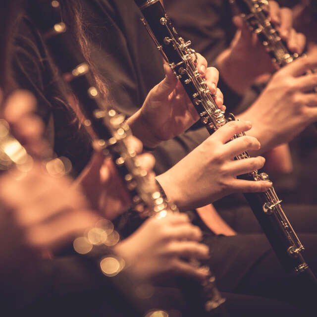 Stage d'été : nouvelle musique traditionnelle  - Cie Balagan