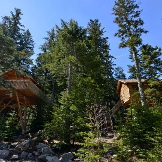 Les Cabanes Perchées du Parc Alpha