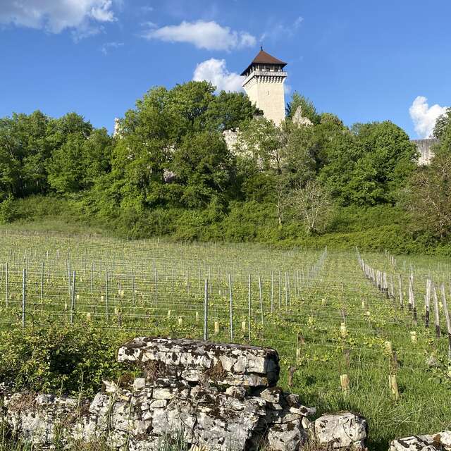 Hiking in Bugey : Le tour de Groslée