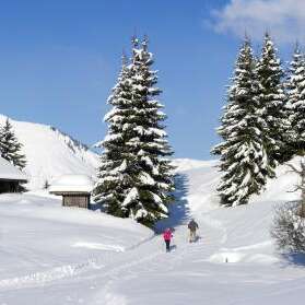 Les Accompagnateurs en montagne
