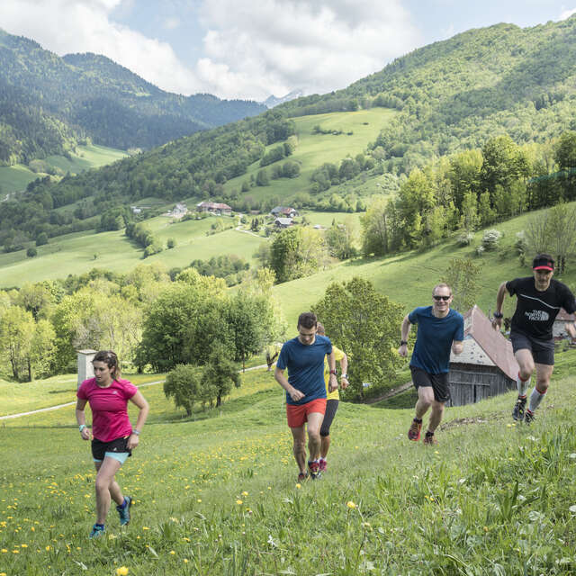 Trail : La boucle des Alpages