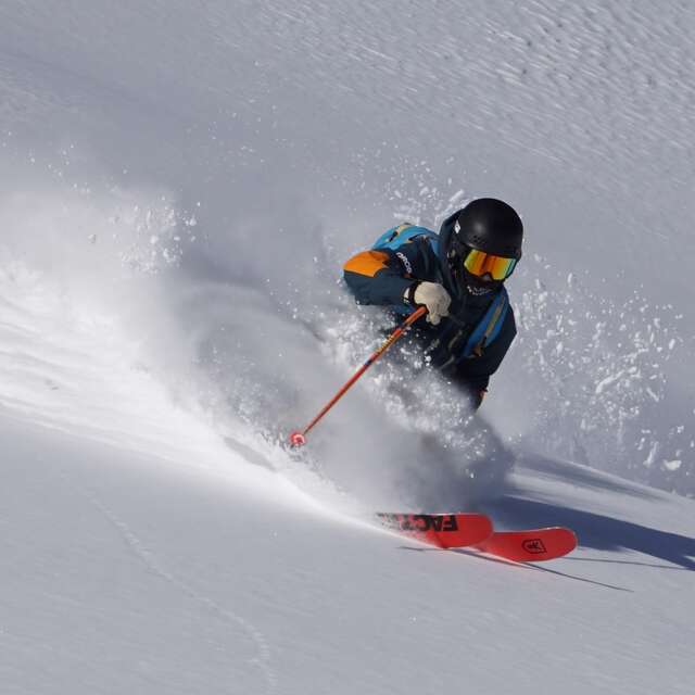 Dropin Snow