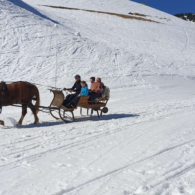 Balade en traîneau avec Irénée Caillet-Bois