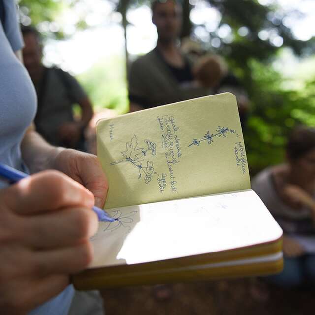 La botanique à portée de tous