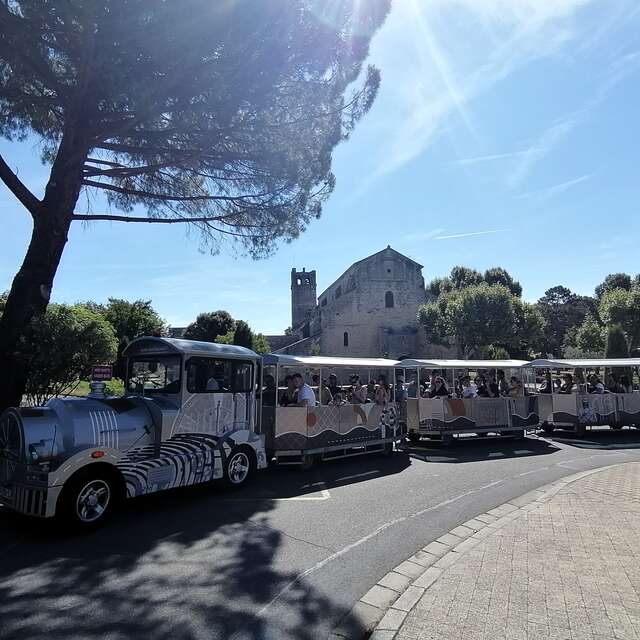 Le Petit Train Touristique de Vaison-la-Romaine