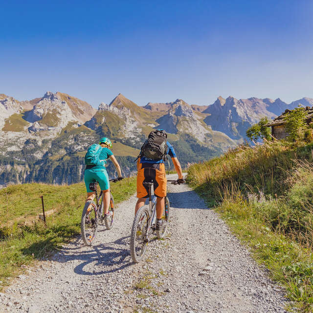 Mountain-biking: trails