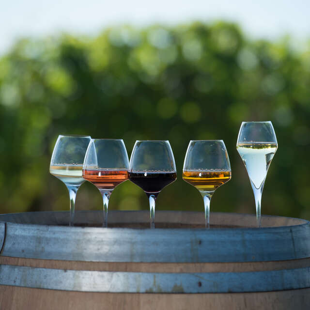 Wine route - The Layon hills and panorama