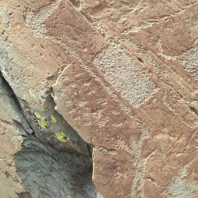 Guided tour of the rock engravings in the Vallée des Merveilles and Fontanalba