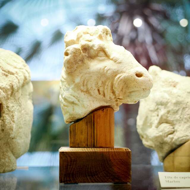 Children's workshop 'Bestiary of Roman mythology' - Heritage vacations