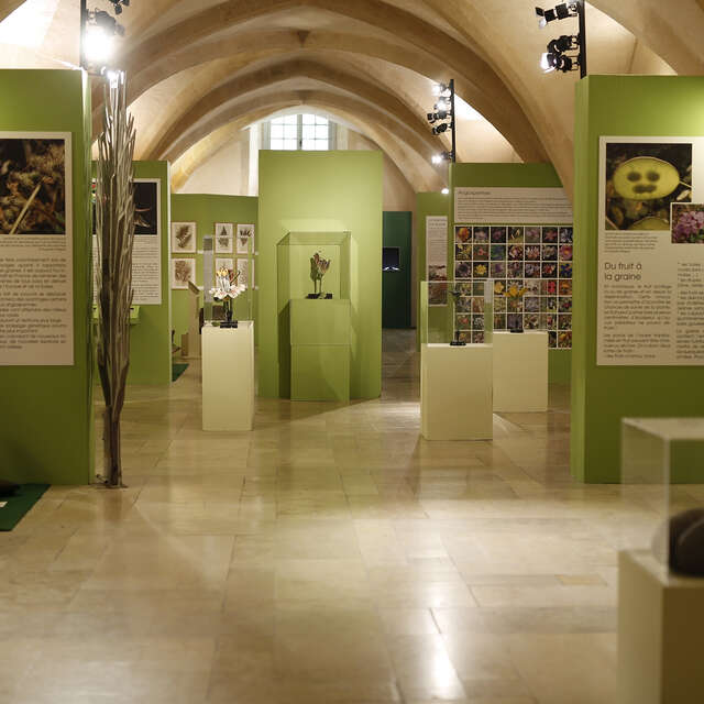 Muséum d'Histoire Naturelle