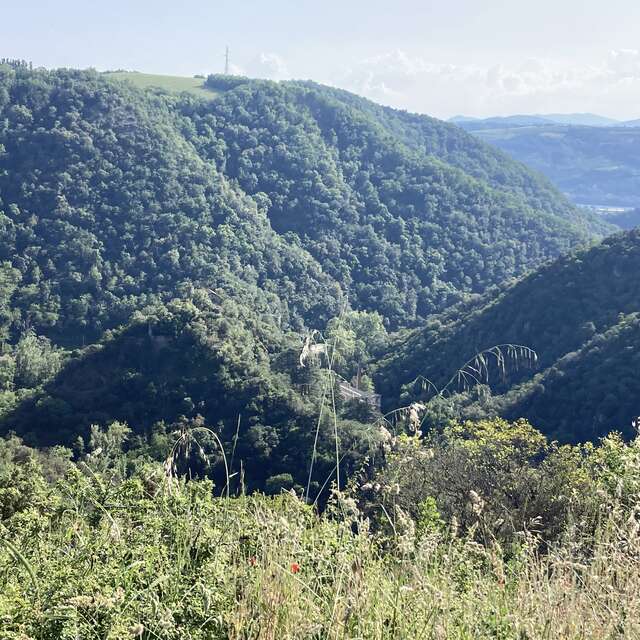 Entre Galaure et collines