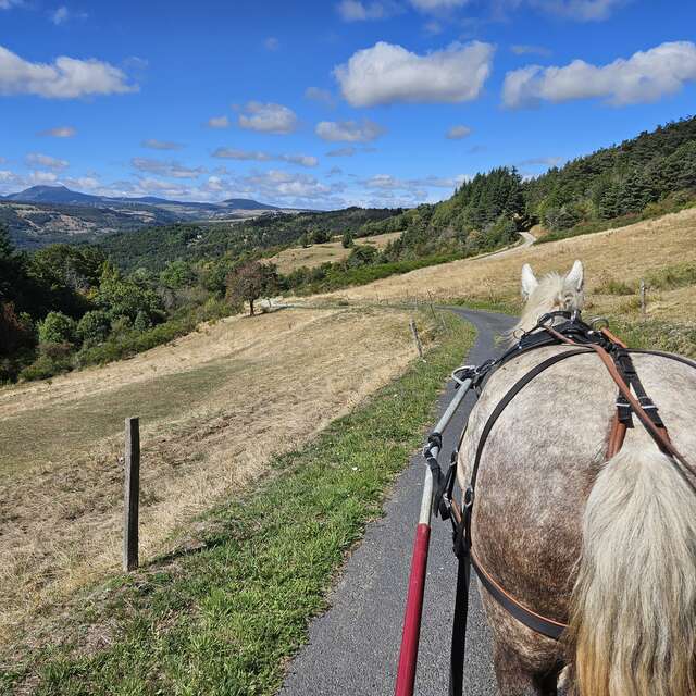 Balade en calèche