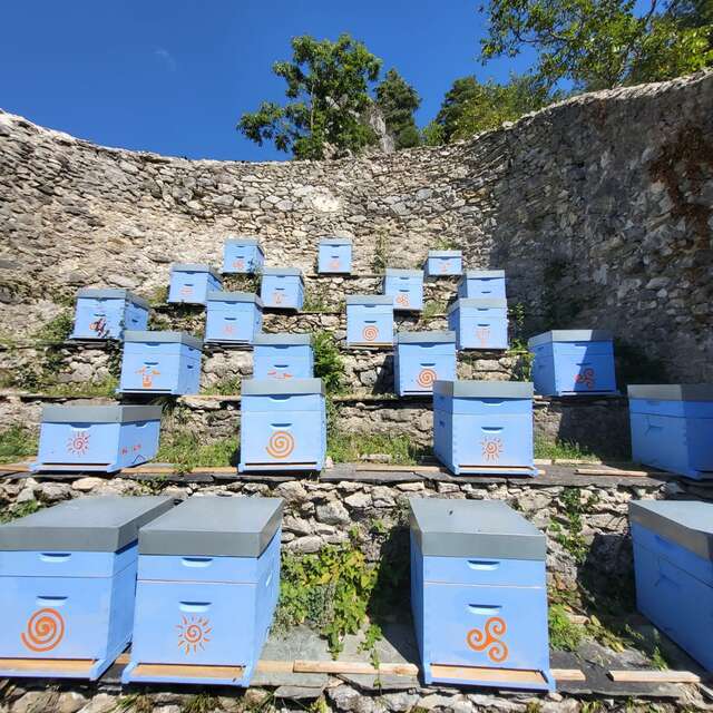 Association API ROYA conservatoire de l'abeille noir de la Roya en ruchers fortifiés