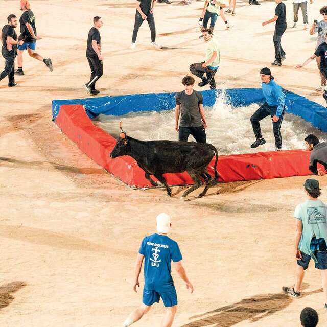 Toro piscine