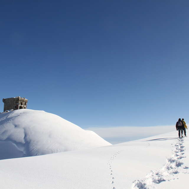 Snowshoeing with Evolution 2