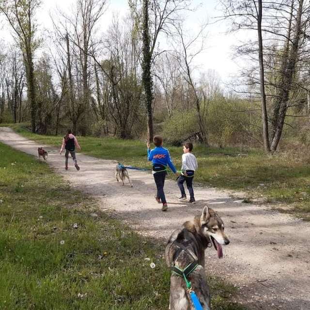Cani-rando découverte et visite pédagogique