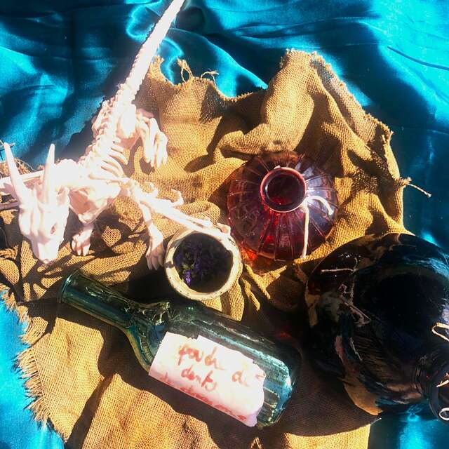 Atelier potions des dragons et conte de dragon