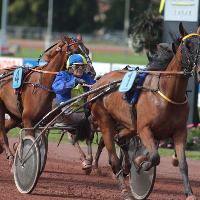 Courses Hippiques