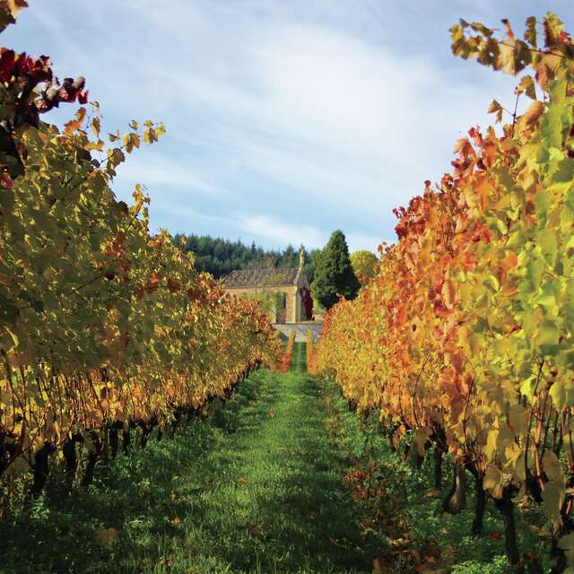 Le sentier des vignes