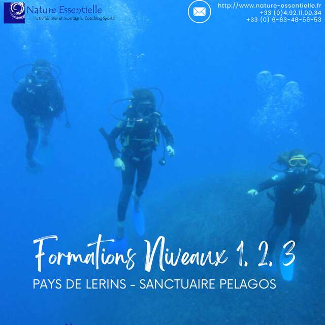 Formation niveaux de plongée sous-marine