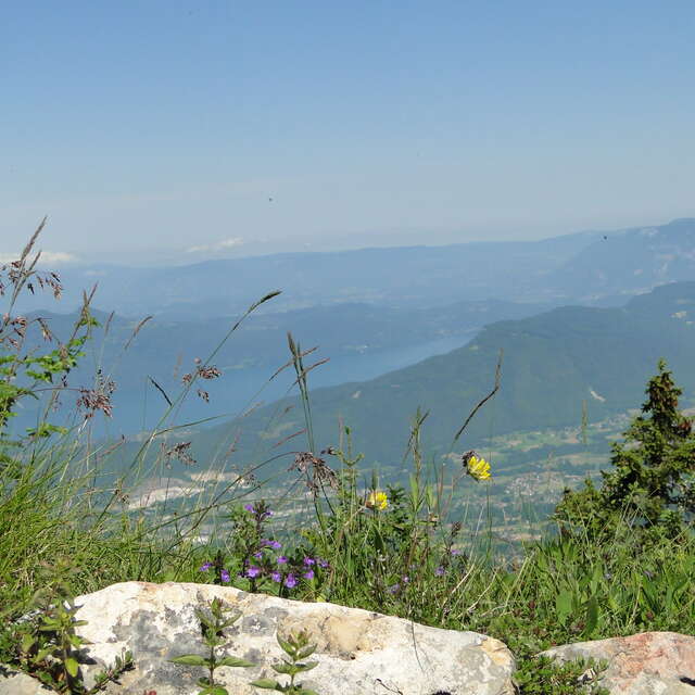 Les crêtes du Revard