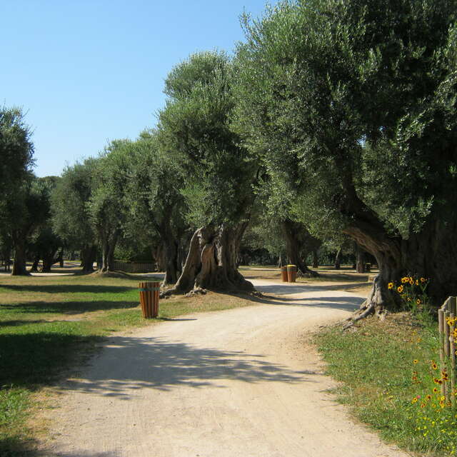 Parc du Cap Martin