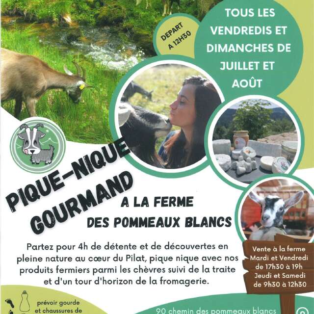 Pique-nique Gourmand Fermier à la Ferme des Pommeaux Blancs