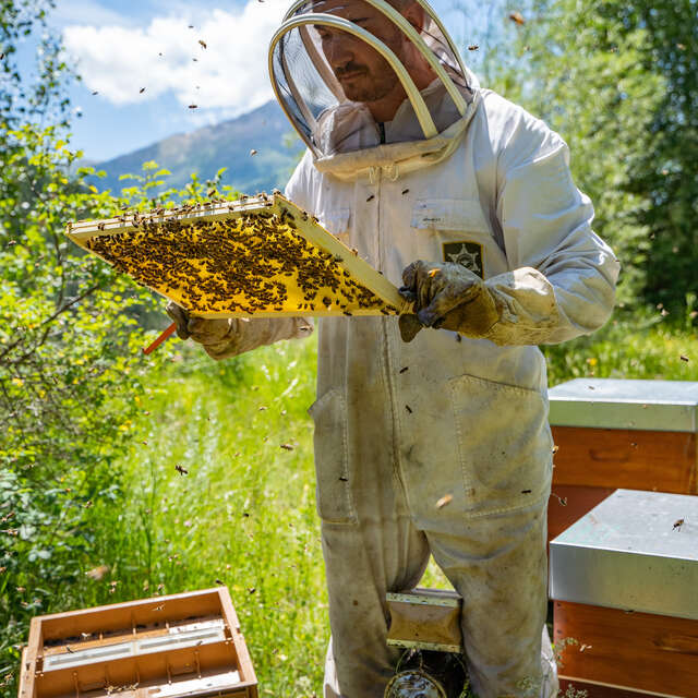 Les Ruches d'Orcières