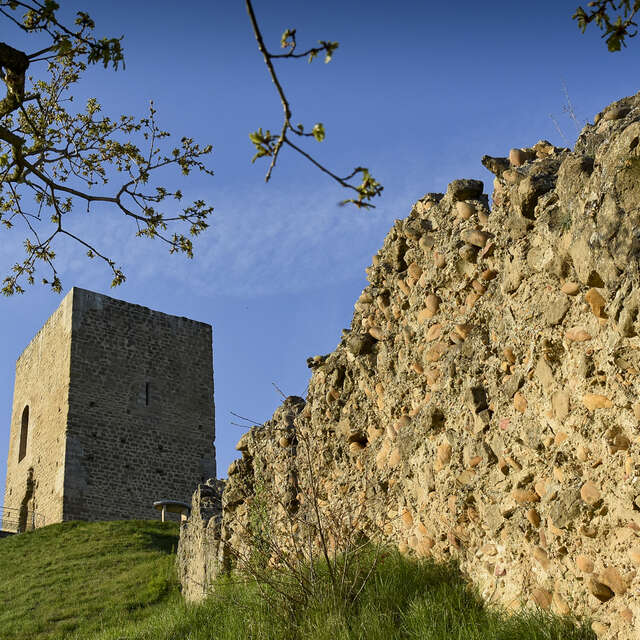 La tour et les crêtes