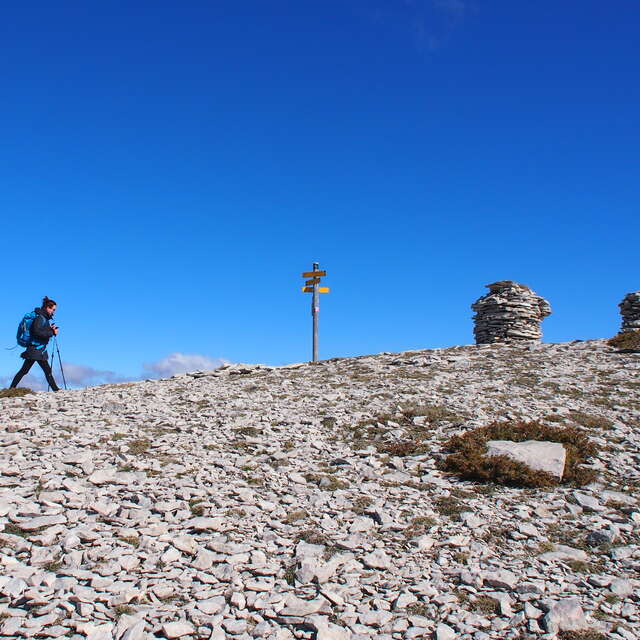 Randonnée Les Crêtes de Lure - Sur le chemin des plantes de la Montagne de Lure
