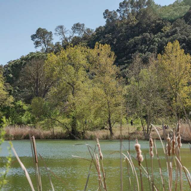 Ein Sonntag an den Teichen von Sauvebonne