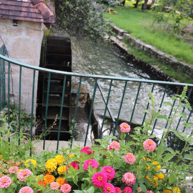 Verjon, au fil de l'eau