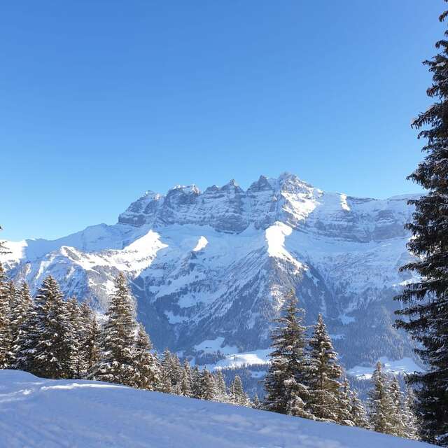 Chemin de l'Aiguille