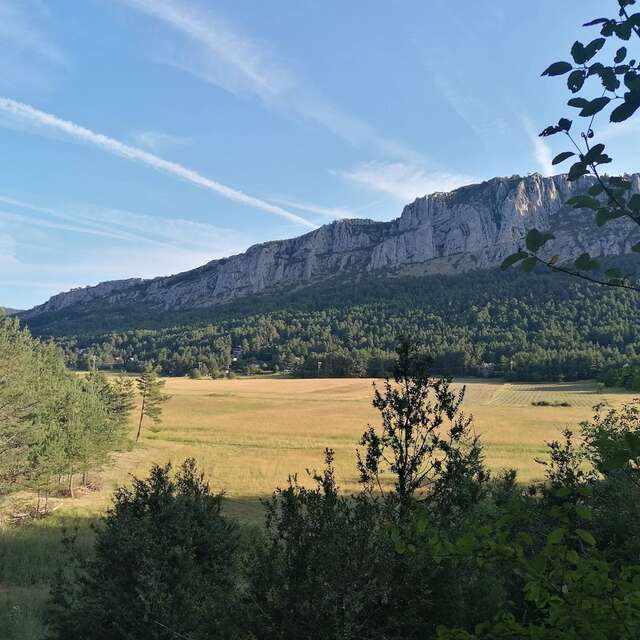ANDON - Plaine de Caille