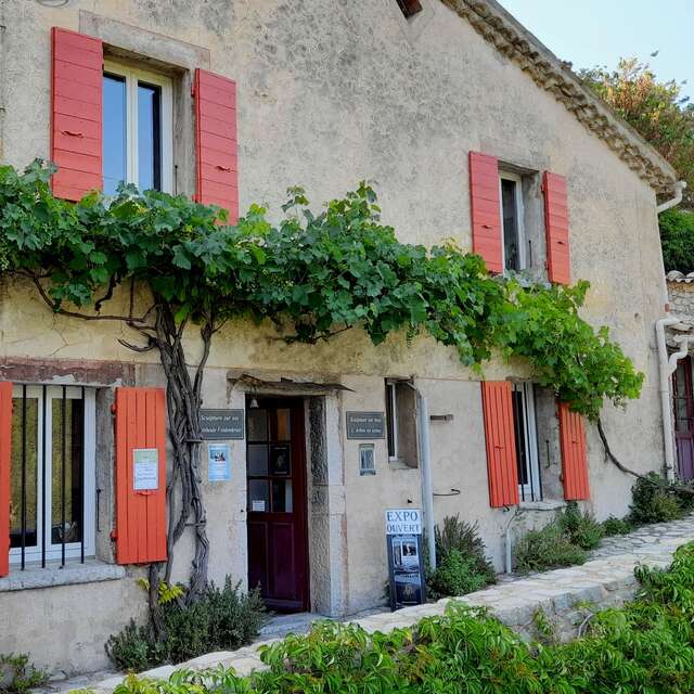 Edy Boucher - L'Arbre en Scène, houtsnijder
