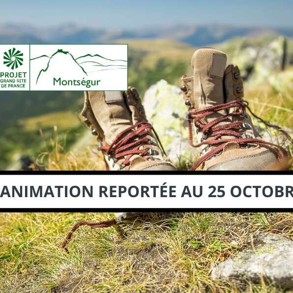 Ma randonnée de rêve : imaginer les paysages de demain