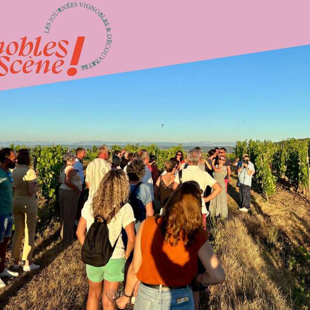 Rando Wine au Domaine François Grenier